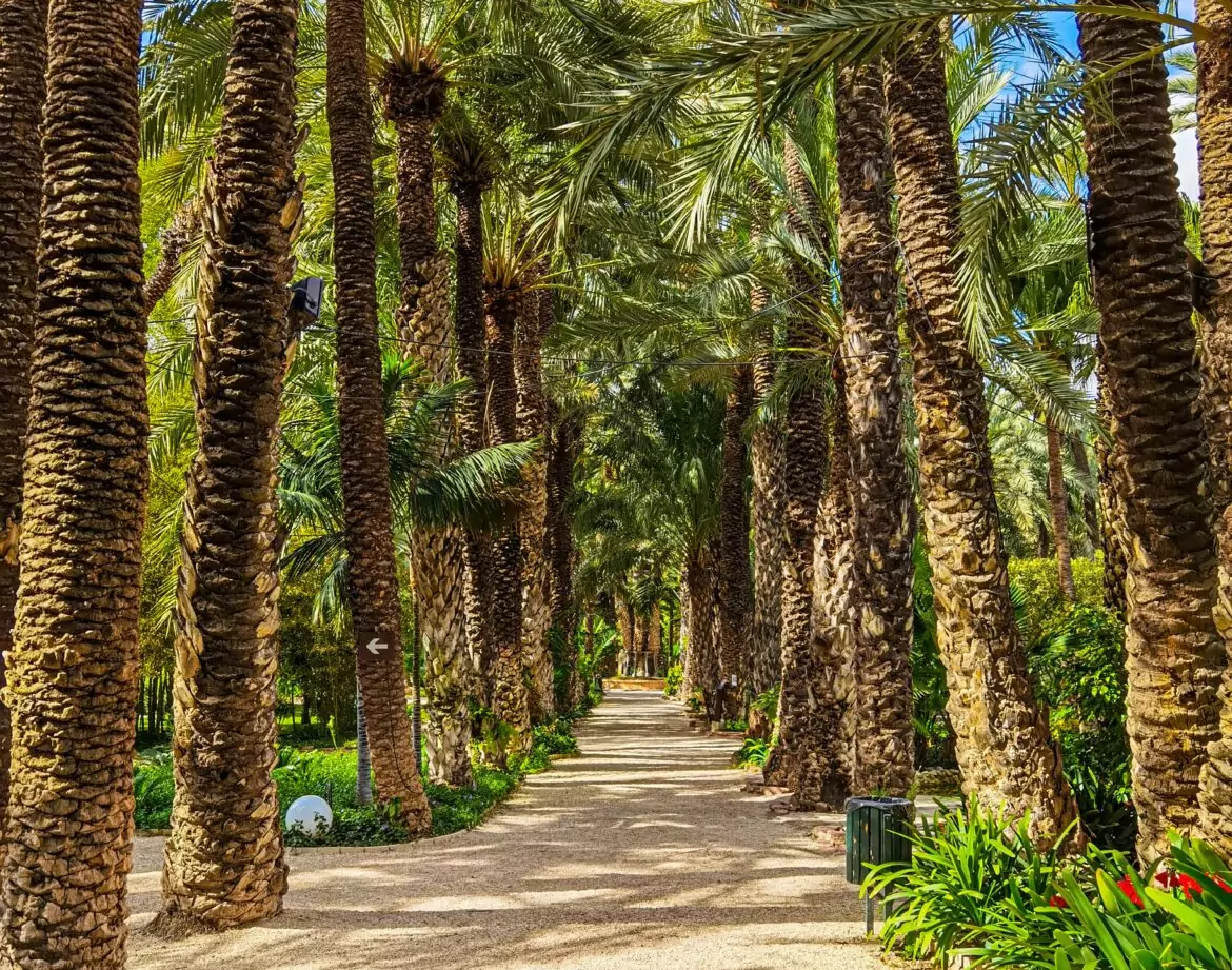 TK Imno-Services - Elche, Costa Blanca