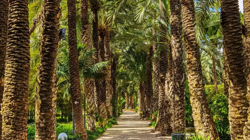 TK Imno-Services - Elche, Costa Blanca